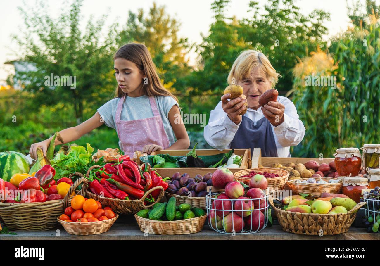 Großmutter und Enkelin verkaufen Gemüse und Obst auf dem Bauernmarkt. Selektiver Fokus. Essen. Stockfoto