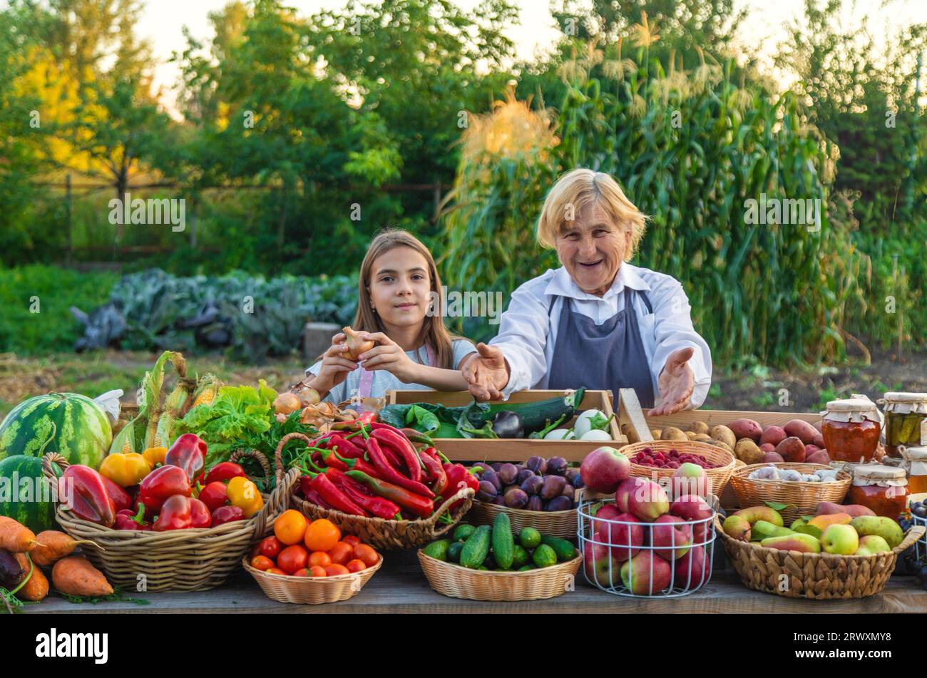 Großmutter und Enkelin verkaufen Gemüse und Obst auf dem Bauernmarkt. Selektiver Fokus. Stockfoto