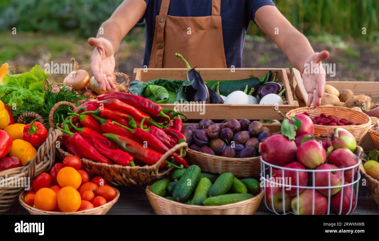 Der Landwirt verkauft Obst und Gemüse auf dem Bauernmarkt. Selektiver Fokus. Essen. Stockfoto