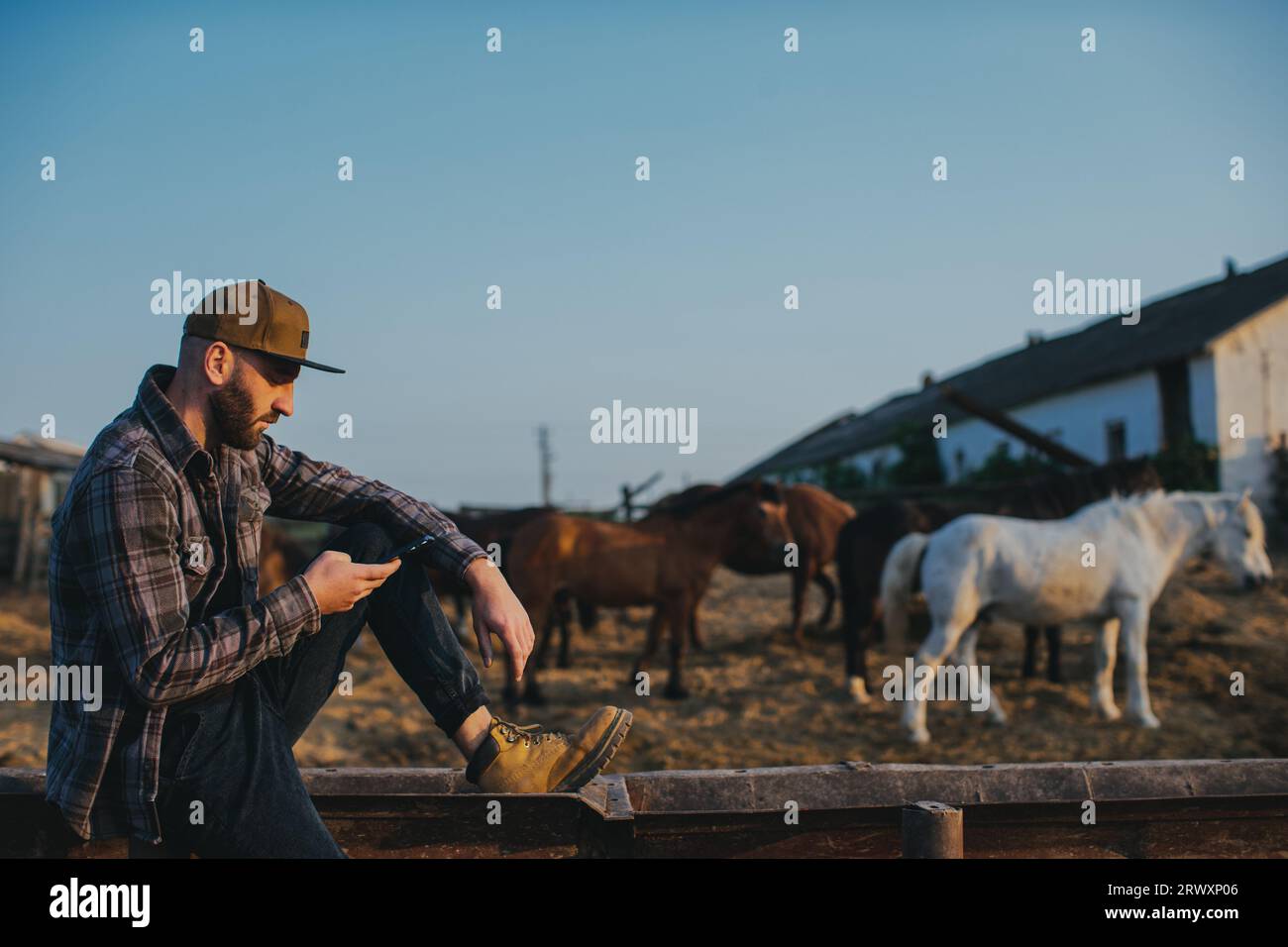 Ein junger Mann mit einem Telefon in den Händen auf dem Hintergrund eines Paddock mit Pferden. Ein Mann ruht nach einem Tag Arbeit auf der Farm, Sonnenuntergang. Stockfoto