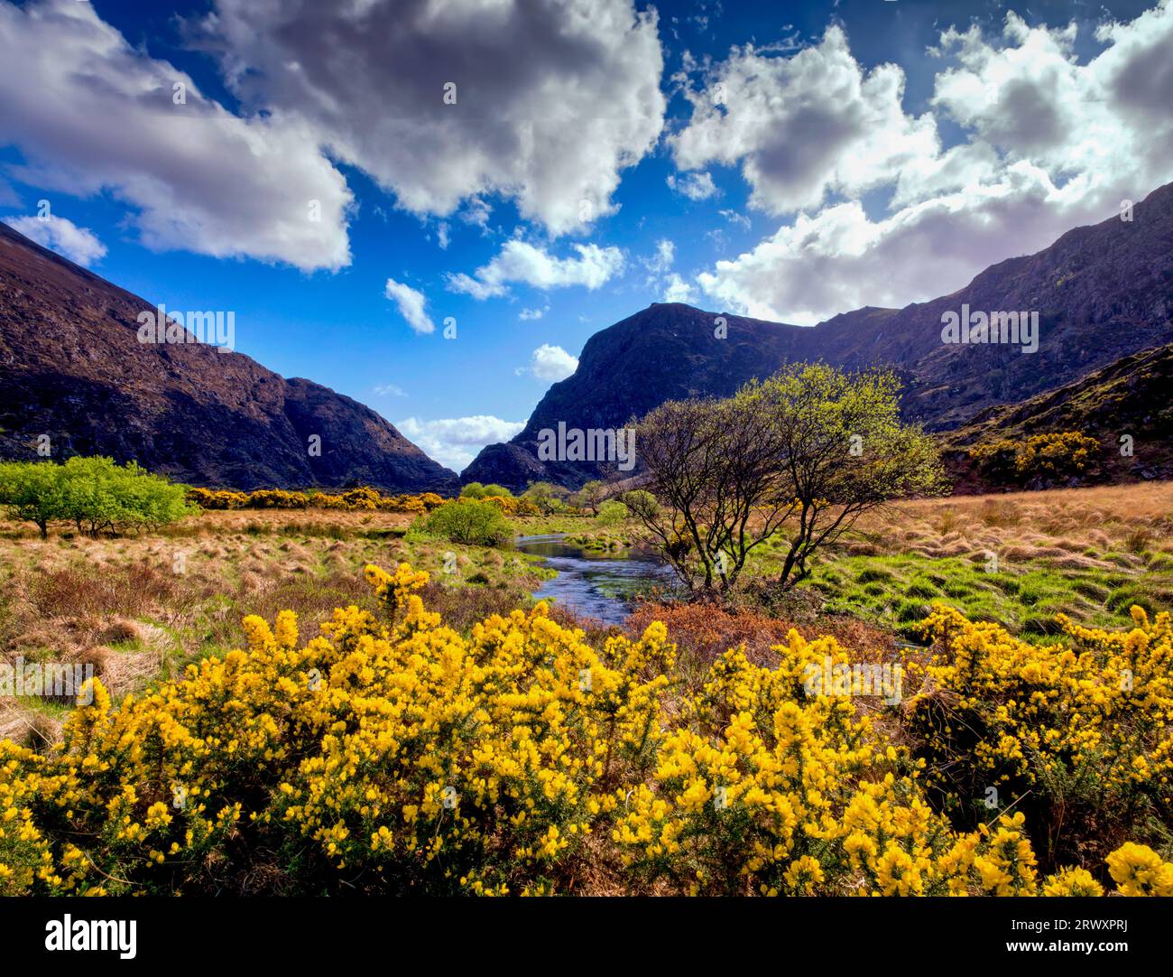GAP of Dunloe, Killarney National Park County Kerry, Irland, Munster, Spring Stockfoto