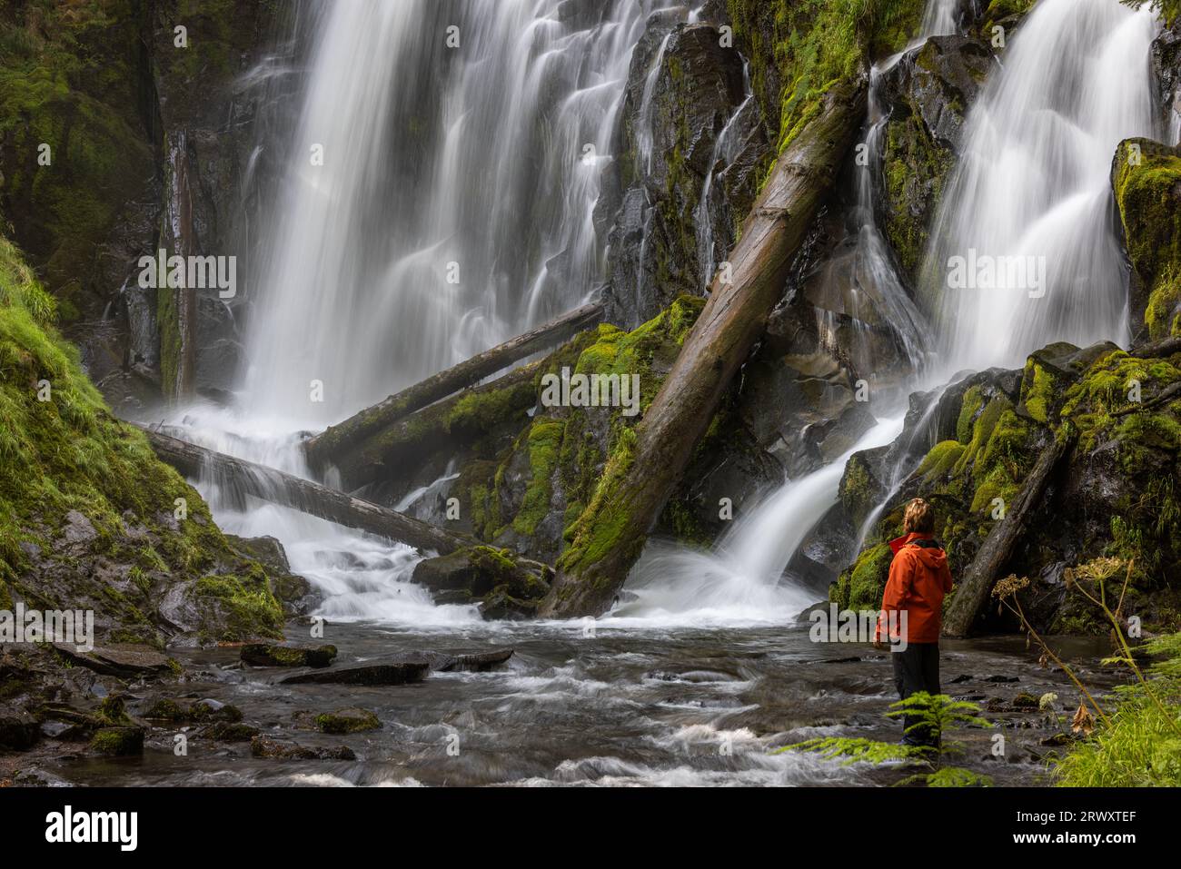 Wanderer tragen eine orangefarbene Jacke, die vor einem großen und wunderschönen Wasserfall im Wald von Oregon steht Stockfoto