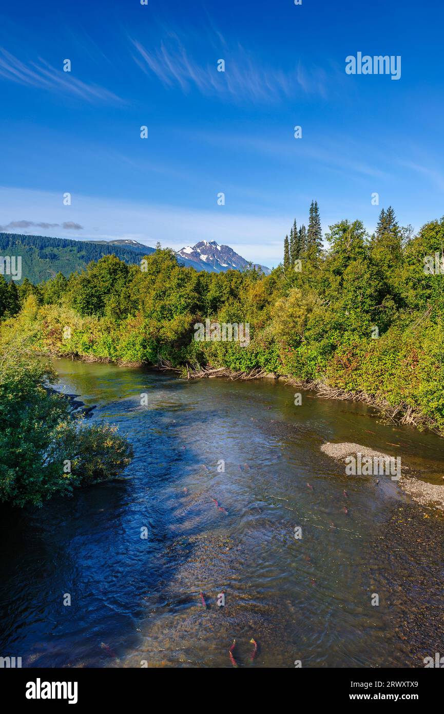 Der Hanna Creek South, der in den Meziadin Lake mündet, ist die malerische Stewart-Cassiar-Region von British Columbia Stockfoto