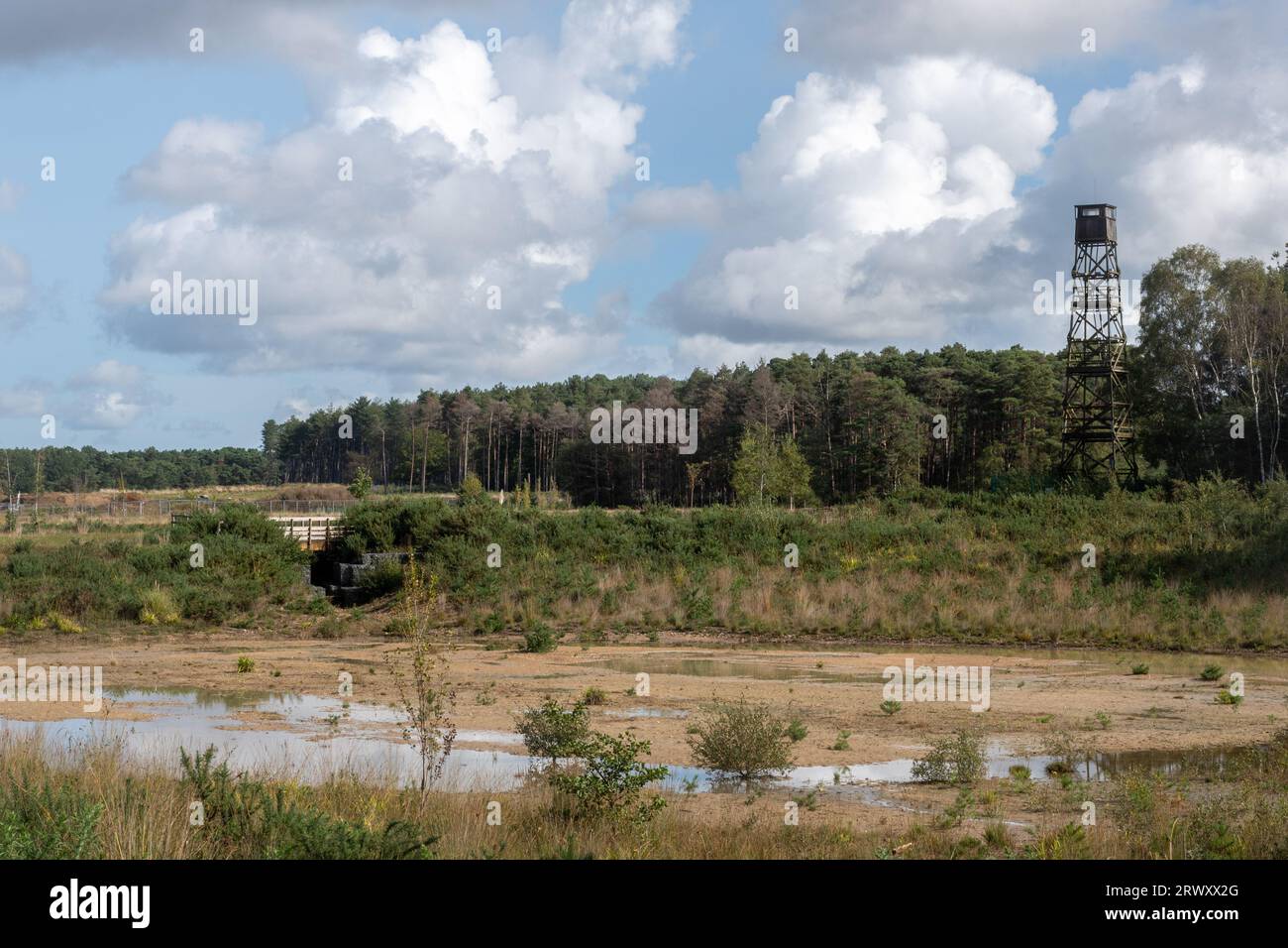 Old Fire Tower and Skid Pan in Bucklers Forest, ehemaliger Transport Research Laboratoy TRL Land restauriert für Natur, Crowthorne, Berkshire, England, Vereinigtes Königreich Stockfoto