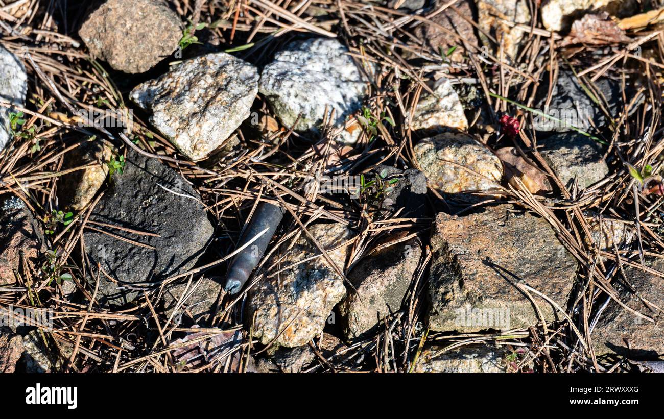 Kugellager vor dem Hintergrund von Steinen Stockfoto
