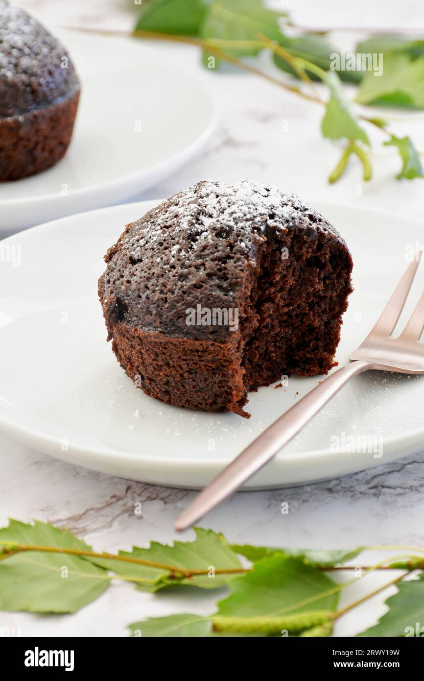 Frisch gebackene Schokoladen-Muffins mit einem Hauch Puderzucker auf weißen Tellern mit Birkenblättern auf Marmorboden. Stockfoto