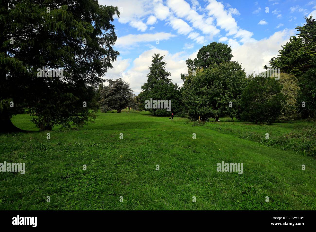 Arboretum und offener Park, Bute Park, Cardiff. September 2023 Stockfoto