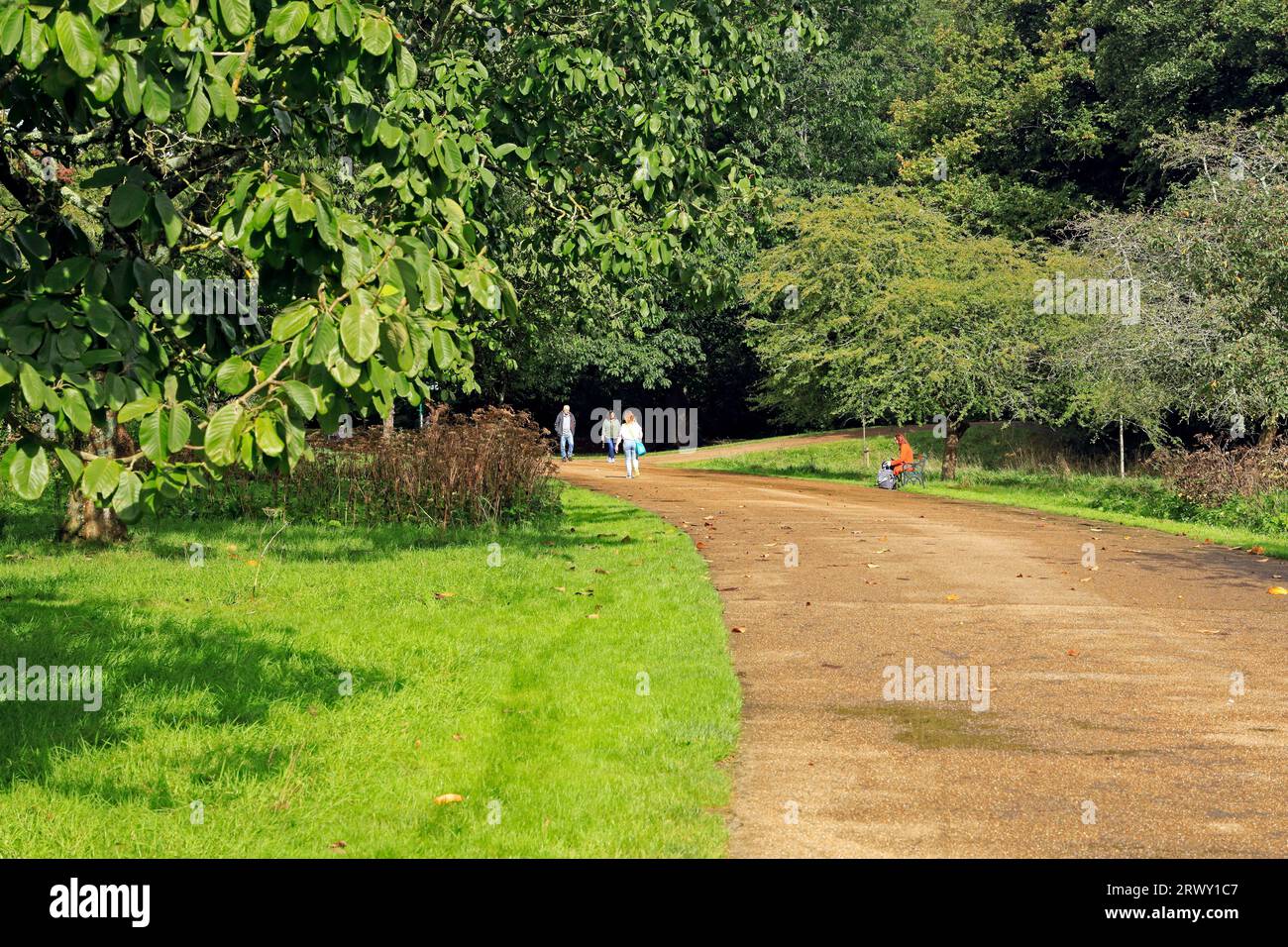 Arboretum und offener Park, Bute Park, Cardiff. September 2023 Stockfoto