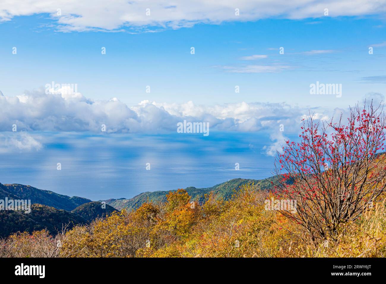 Sado Island: Herbstliche Laublandschaft der Osado Berge und des Japanischen Meeres vom höchsten Punkt der Osado Skyline aus gesehen Stockfoto