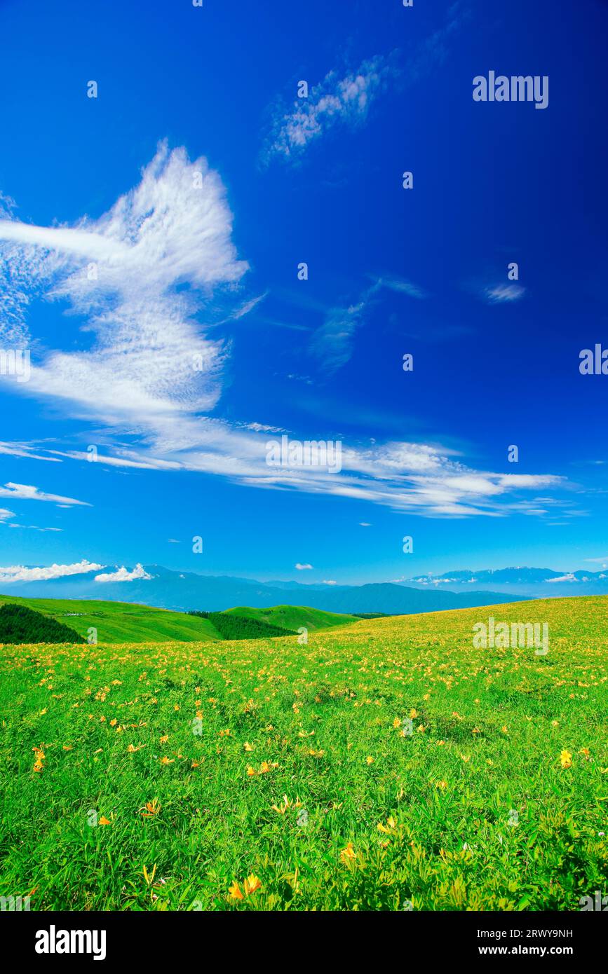Nikkoukisuge, die Südalpen, die Zentralalpen und andere Gebirgszüge und Zirruswolken Stockfoto