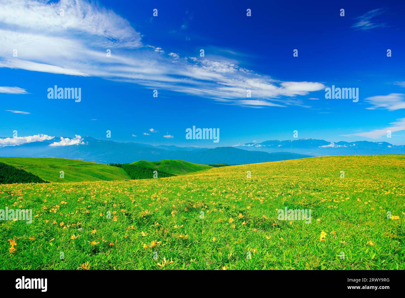 Nikkoukisuge, die Südalpen, die Zentralalpen und andere Gebirgszüge und Zirruswolken Stockfoto