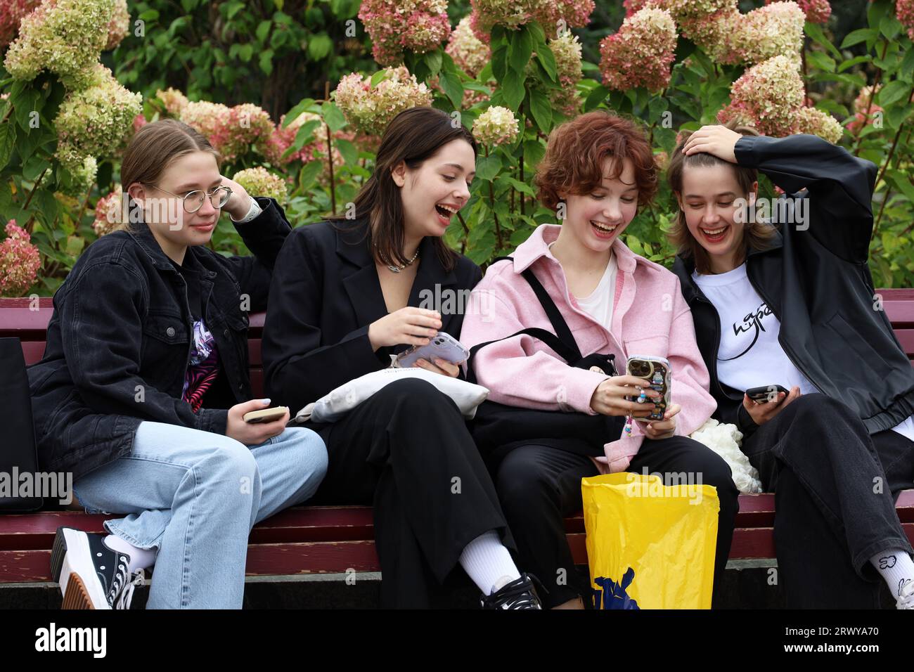 Vier Mädchen schauen auf den Smartphone-Bildschirm und lachen auf einer Bank im Stadtpark. Weibliche Freundschaft, Emo teilen Stockfoto