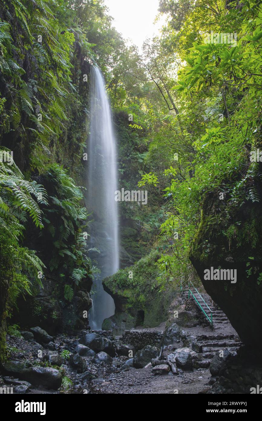 Wasserfall im Lorbeerwald in Los Tilos, Kanarische Inseln, La Palma, Los Sauces Stockfoto