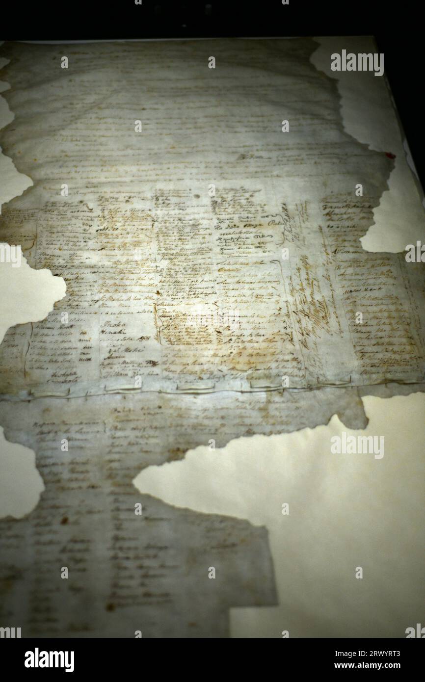 Ein Teil des ursprünglichen Vertrags von Waitangi, der 1840 zwischen der britischen Krone und den Maori-Häuptern unterzeichnet wurde. Fotografiert bei verfügbarem Licht in der Disla Stockfoto