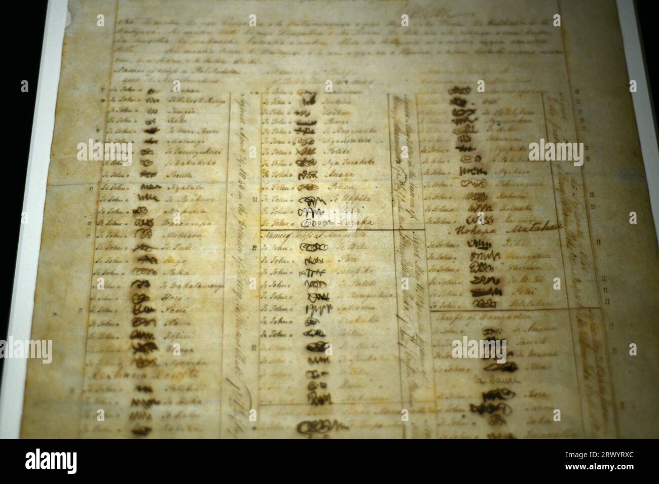 Ein Teil des ursprünglichen Vertrags von Waitangi, der 1840 zwischen der britischen Krone und den Maori-Häuptern unterzeichnet wurde. Fotografiert bei verfügbarem Licht in der Disla Stockfoto