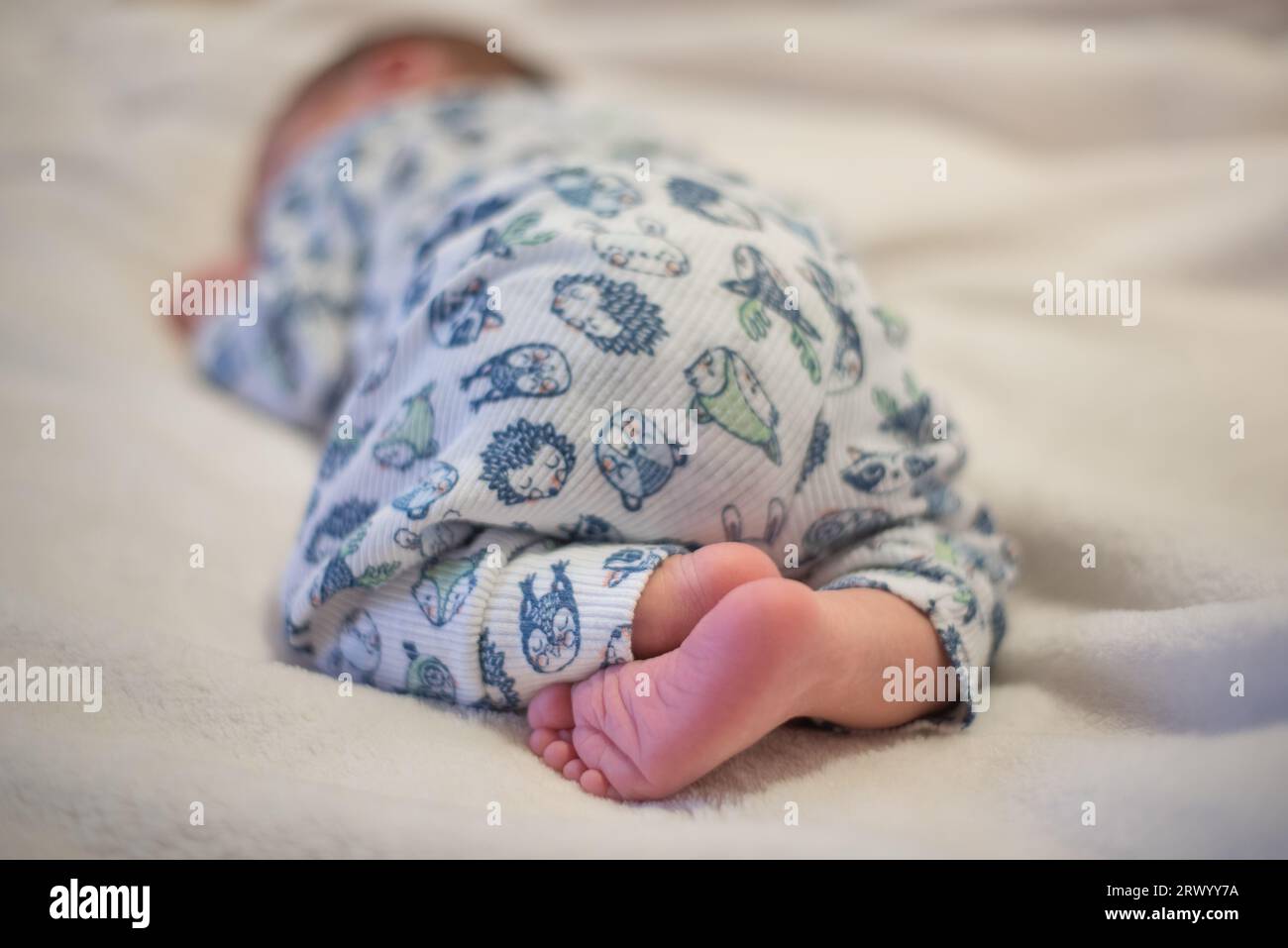 Neugeborenes Baby, das auf dem Bauch schläft, mit hochgezogener Beute Stockfoto