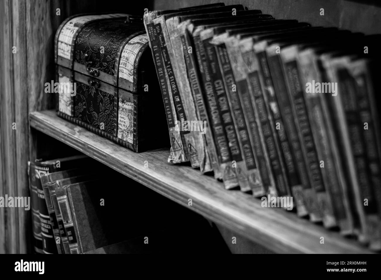 Eine Graustufe einer klassischen, rustikalen Bibliothek mit organisierten Bücherregalen Stockfoto