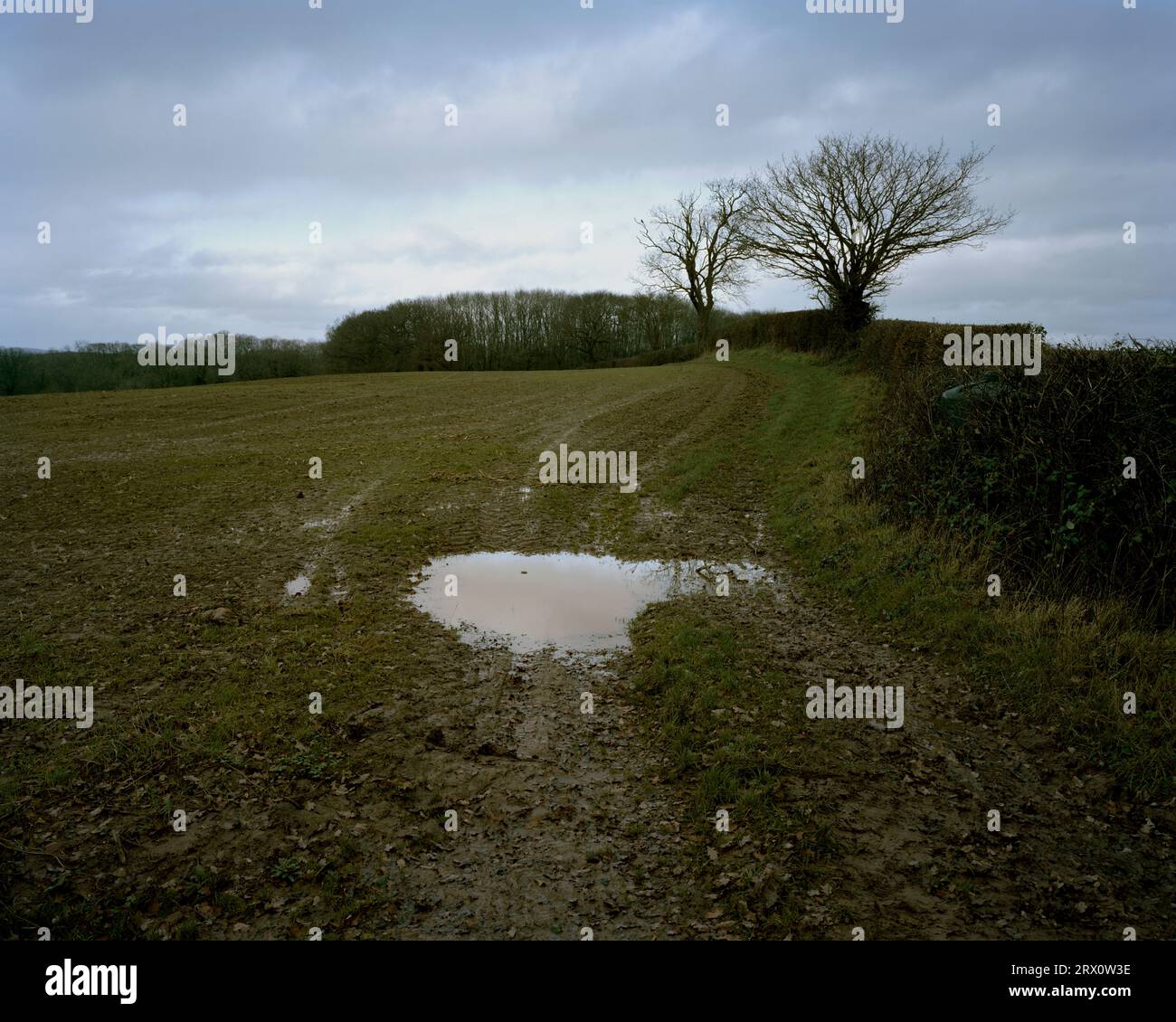 Fingerpost Field, Viel Marcle, Herefordshire. Fred West war ein britischer Serienmörder, der im HM-Gefängnis Birmingham Selbstmord beging. Stockfoto