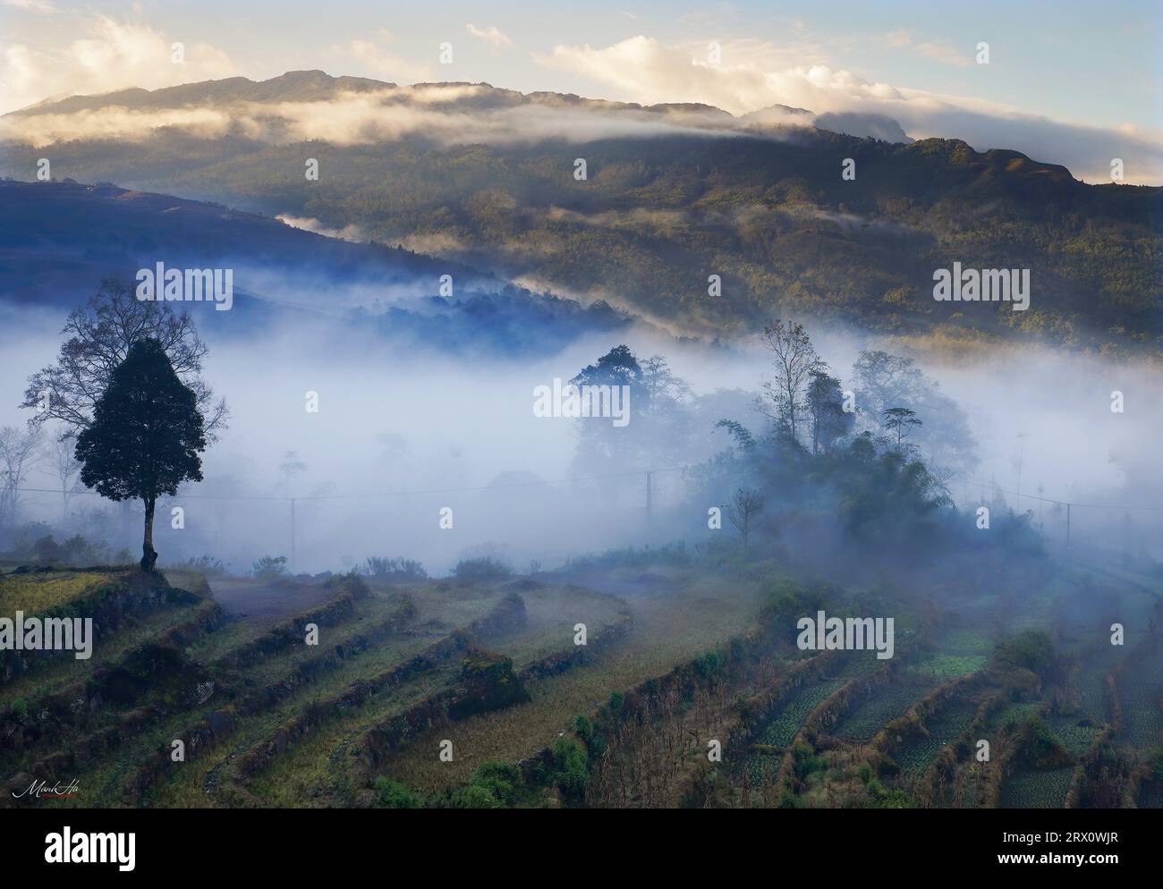 Phong Cảnh đẹp Việt Nam Stockfoto