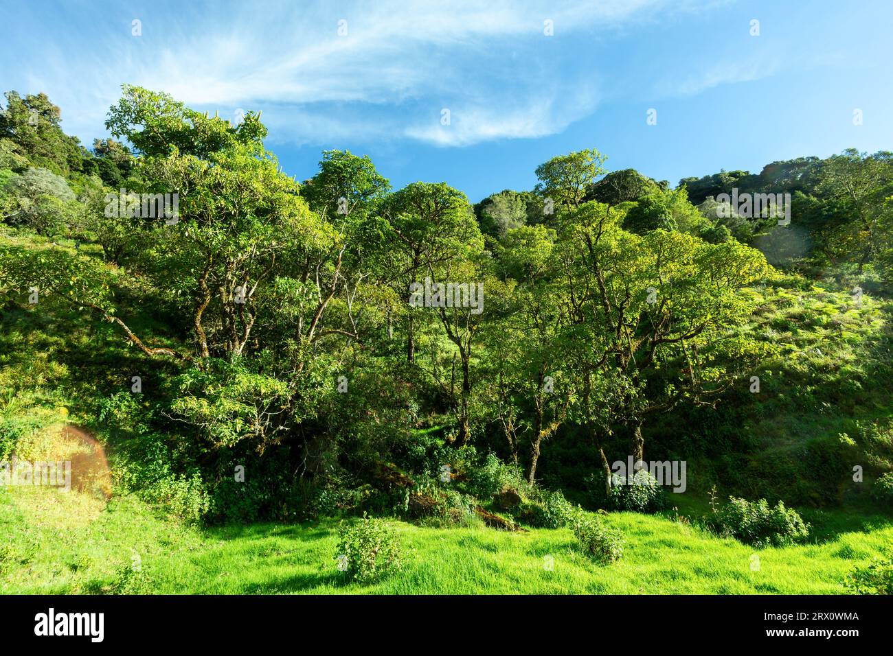 Wunderschöner Blick auf die Landschaft Los Quetzales Nationalpark und Regenwald rund um San Gerardo de Dota, wunderschöne Costa Rica Wildnis Landschaft Stockfoto