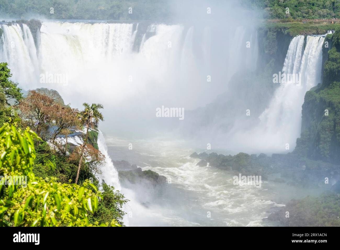 Iguazú Wasserfälle, mächtiger Wasserstrom fällt die Klippen hinunter. Grenze zu Argentinien und Brasilien. Parana Stockfoto