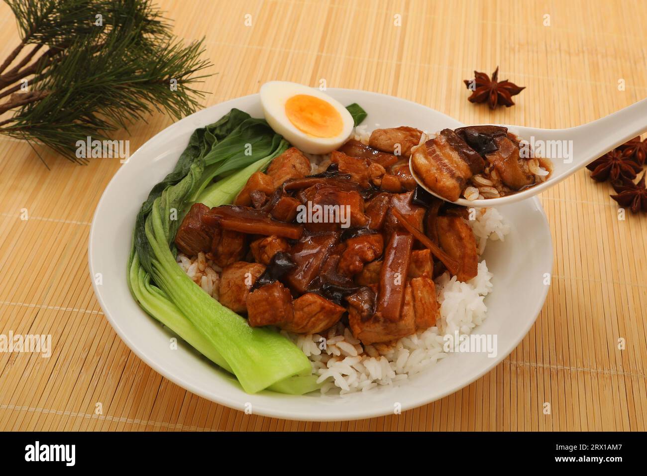 Lu Rou Fan, Taiwanesisches Essen Stockfoto