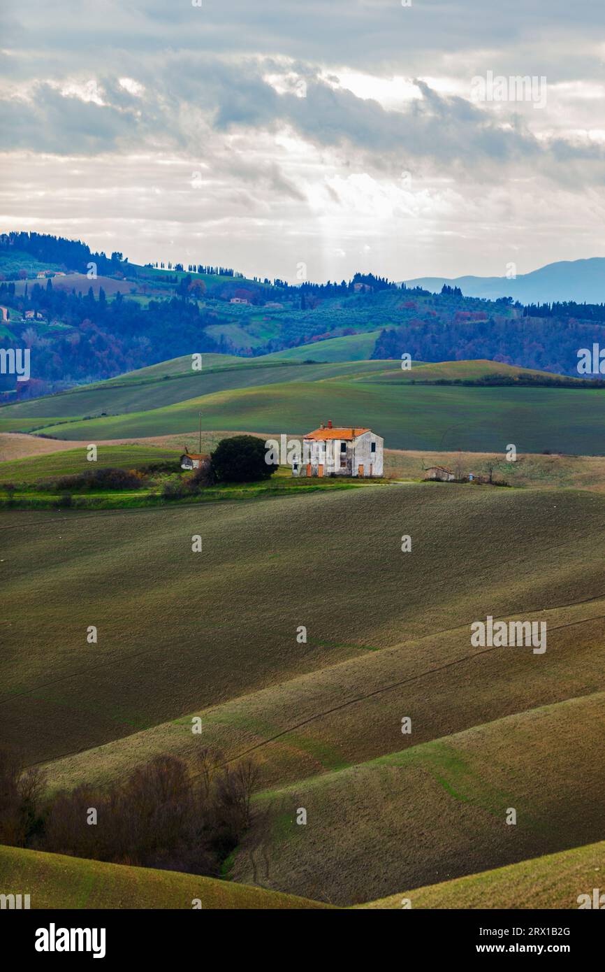 Feld auf sanften Hügeln und Villa, Toskana, Italien Stockfoto