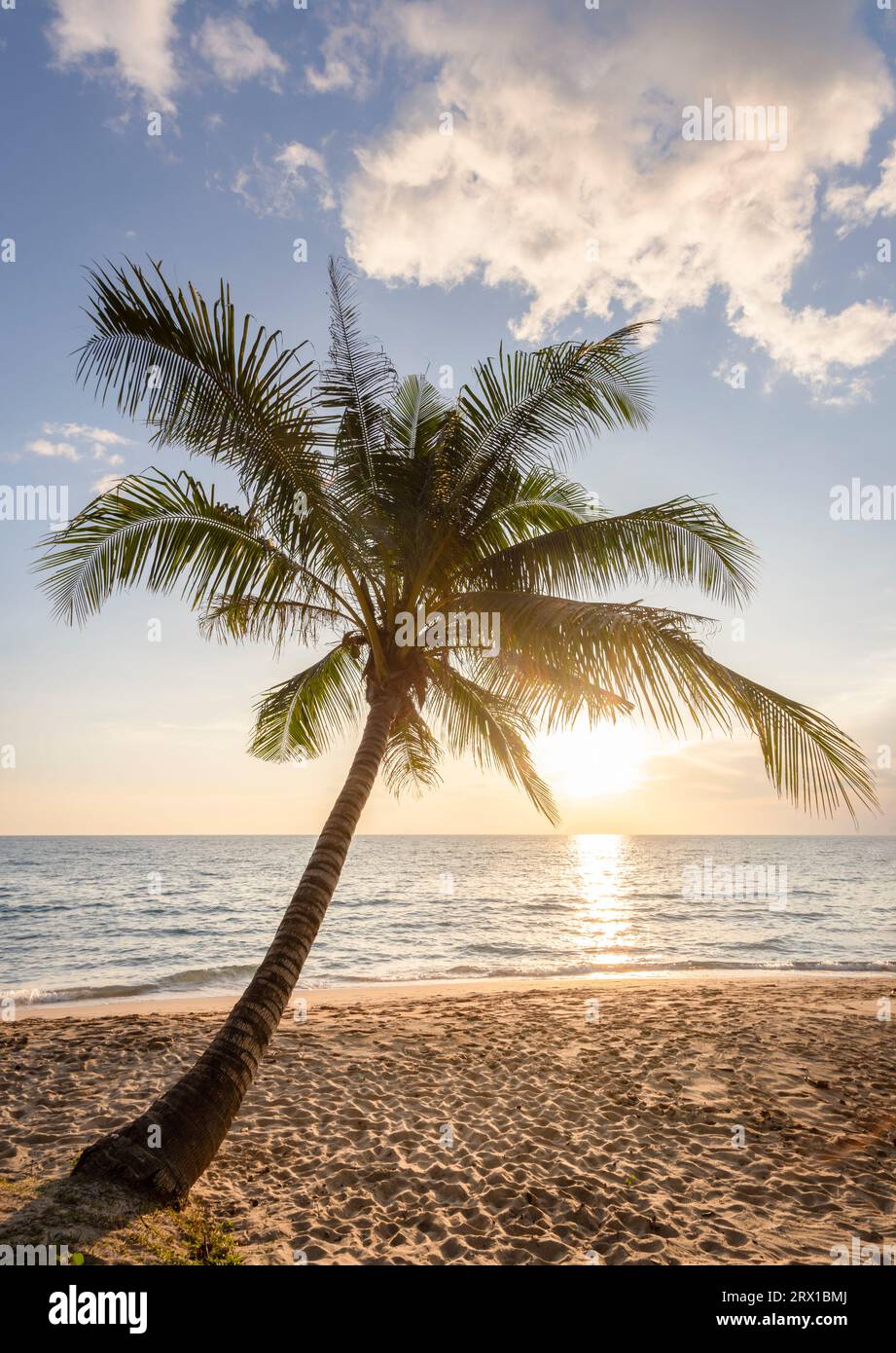 Paradies gefunden: Idyllischer Sonnenuntergang am Strand mit Palme Stockfoto