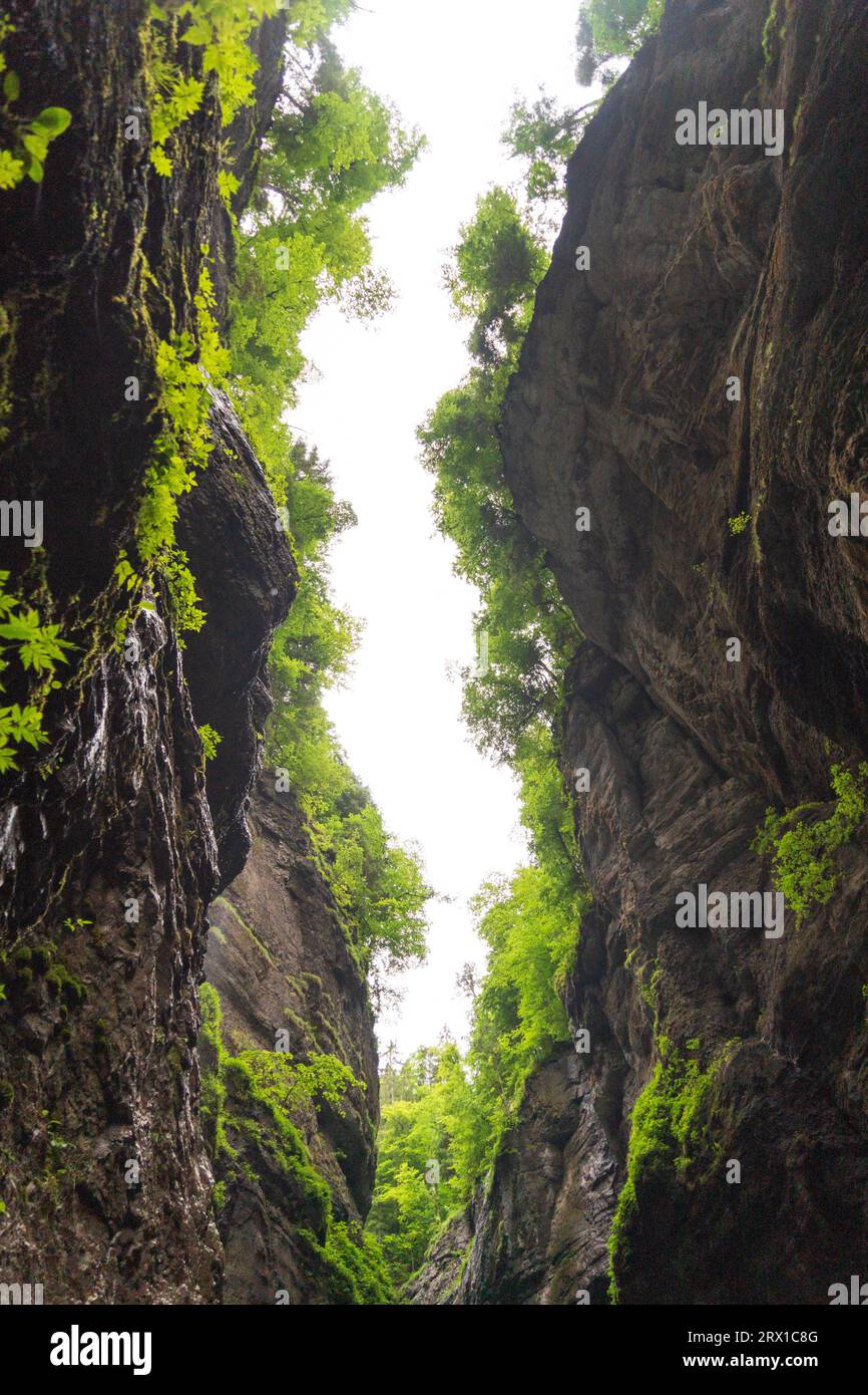 Partnachschlucht in Garmisch-Partenkirchen, in Bayern, Deutschland Stockfoto