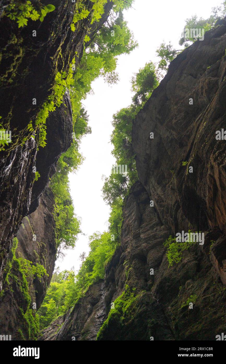 Partnachschlucht in Garmisch-Partenkirchen, in Bayern, Deutschland Stockfoto