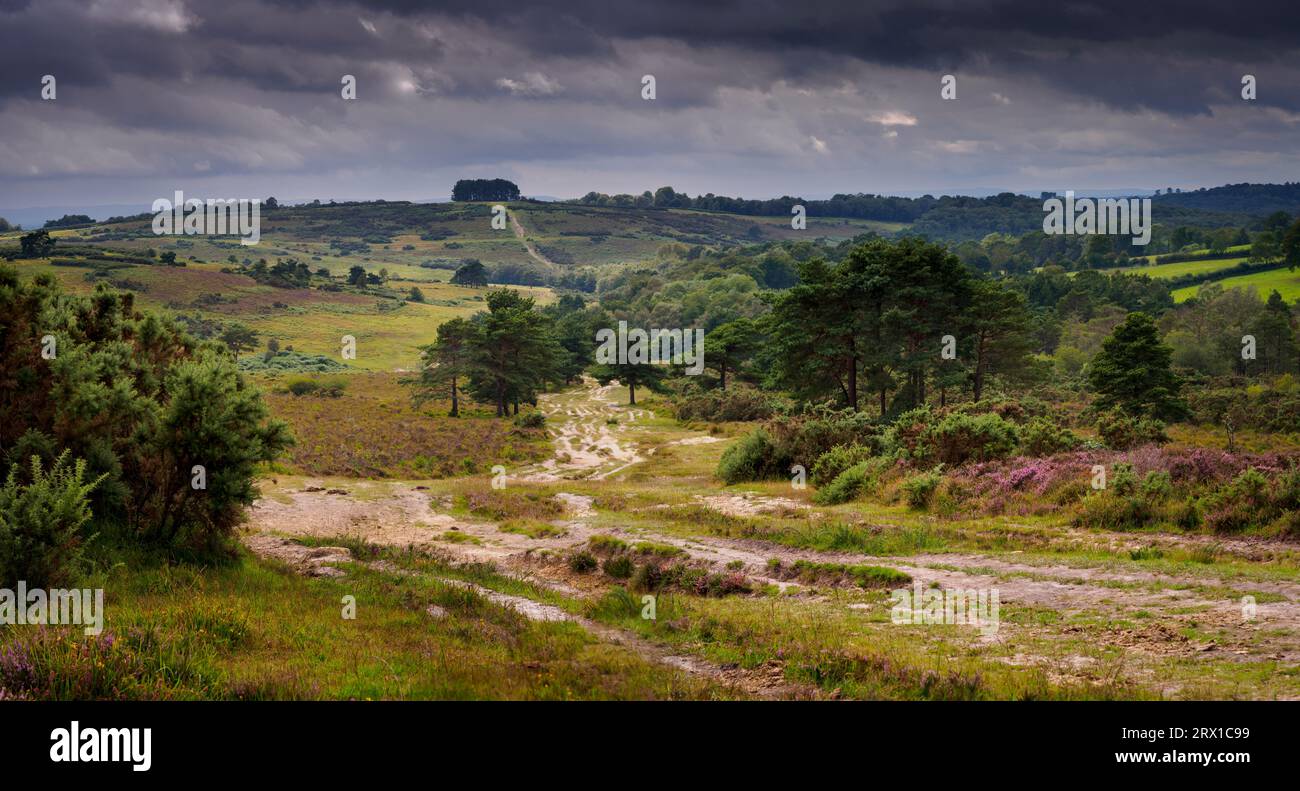 Der Weg zum Klumpen eines Freundes Stockfoto