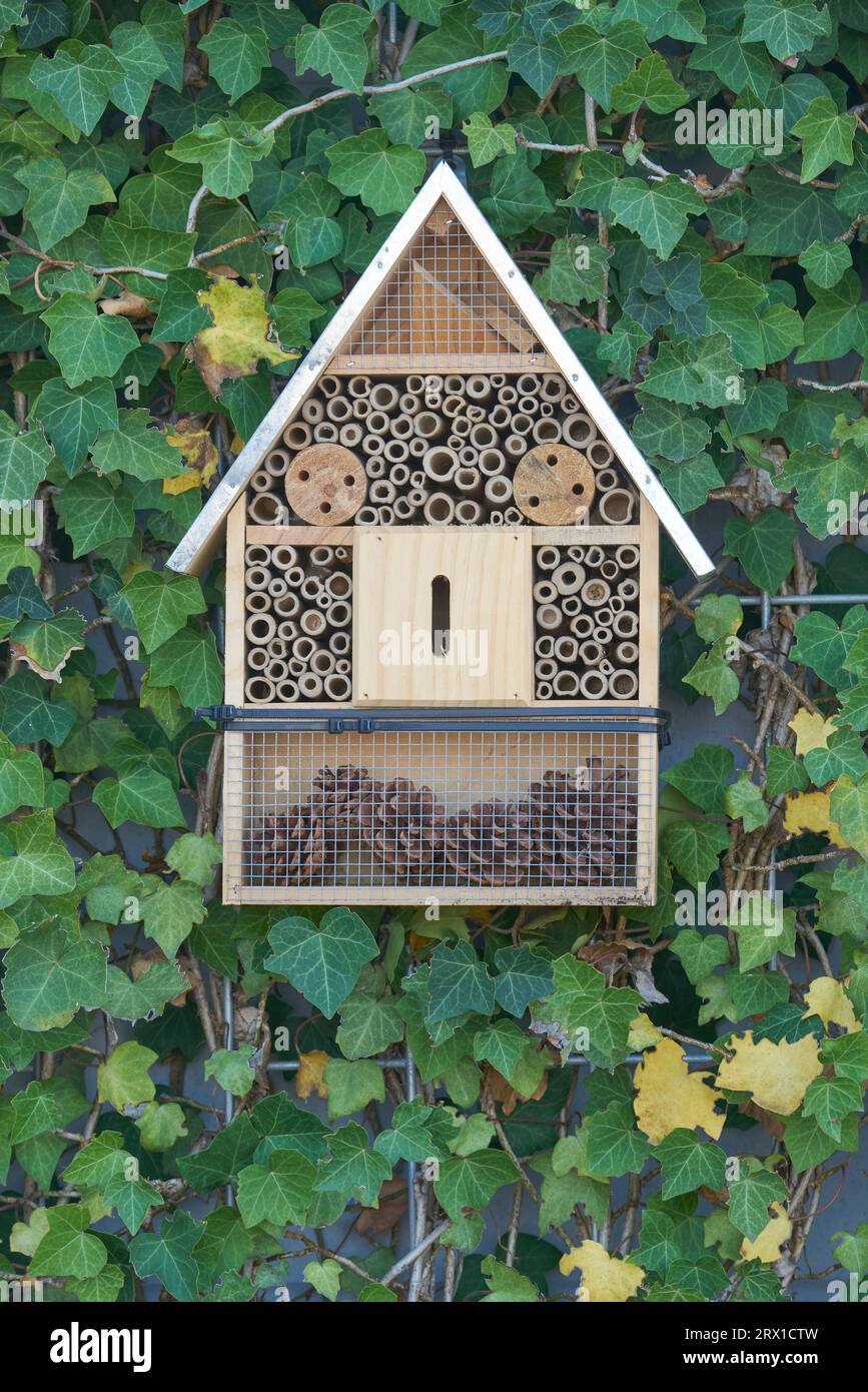 Insektenhaus-Insektenhaus. Insektenhotel ermutigt Bestäuber Stockfoto