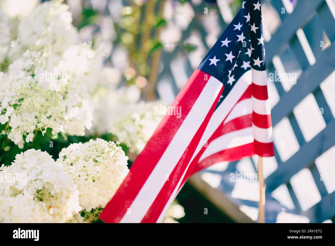 Eine amerikanische Flagge im Sommer Stockfoto