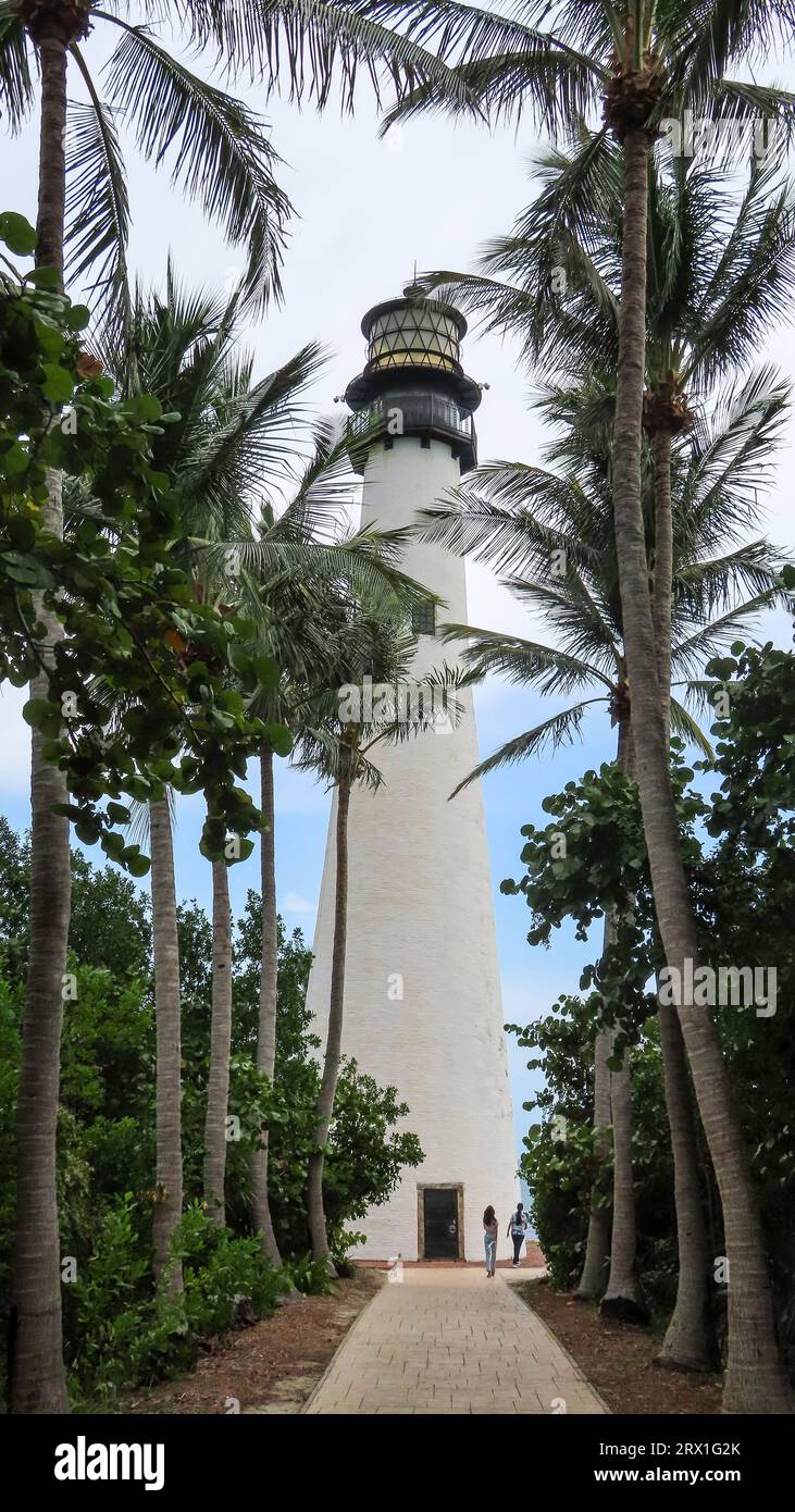 Leuchtturm am Ende des von Palmen gesäumten Spaziergangs Stockfoto