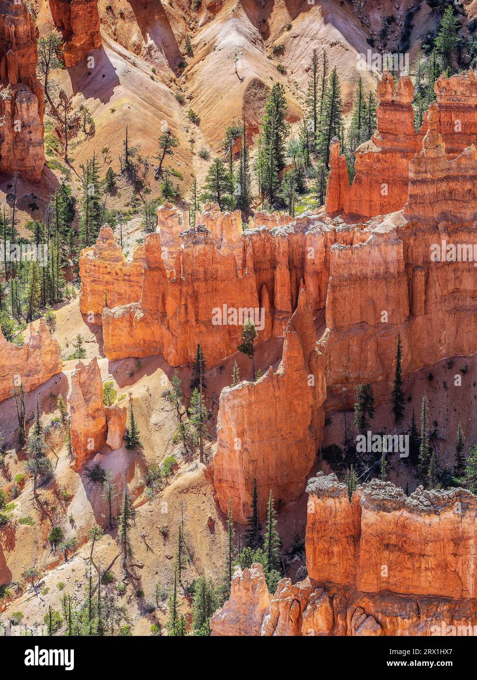 Bryce Canyon National Park in Utah, USA Stockfoto