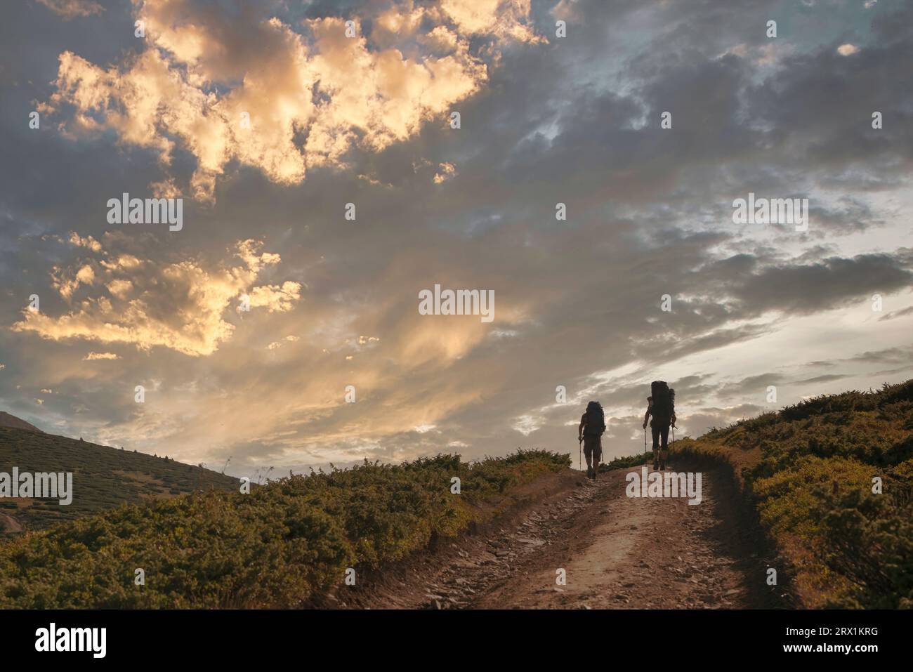Zwei Wandersilhouetten auf dem Wanderweg hoch in den Bergen. Zwei Männer mit Rucksäcken und Wanderstöcken gehen im tcenischen Sonnenuntergang zum Horizont Stockfoto
