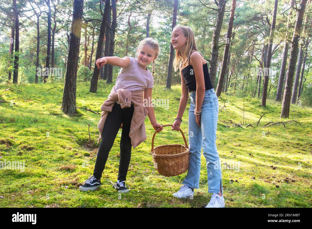 Zwei Mädchen, 7 und 10 Jahre alt, suchen nach Pilzen im Wald in Ystad, Scania, Schweden, Skandinavien, Europa Stockfoto