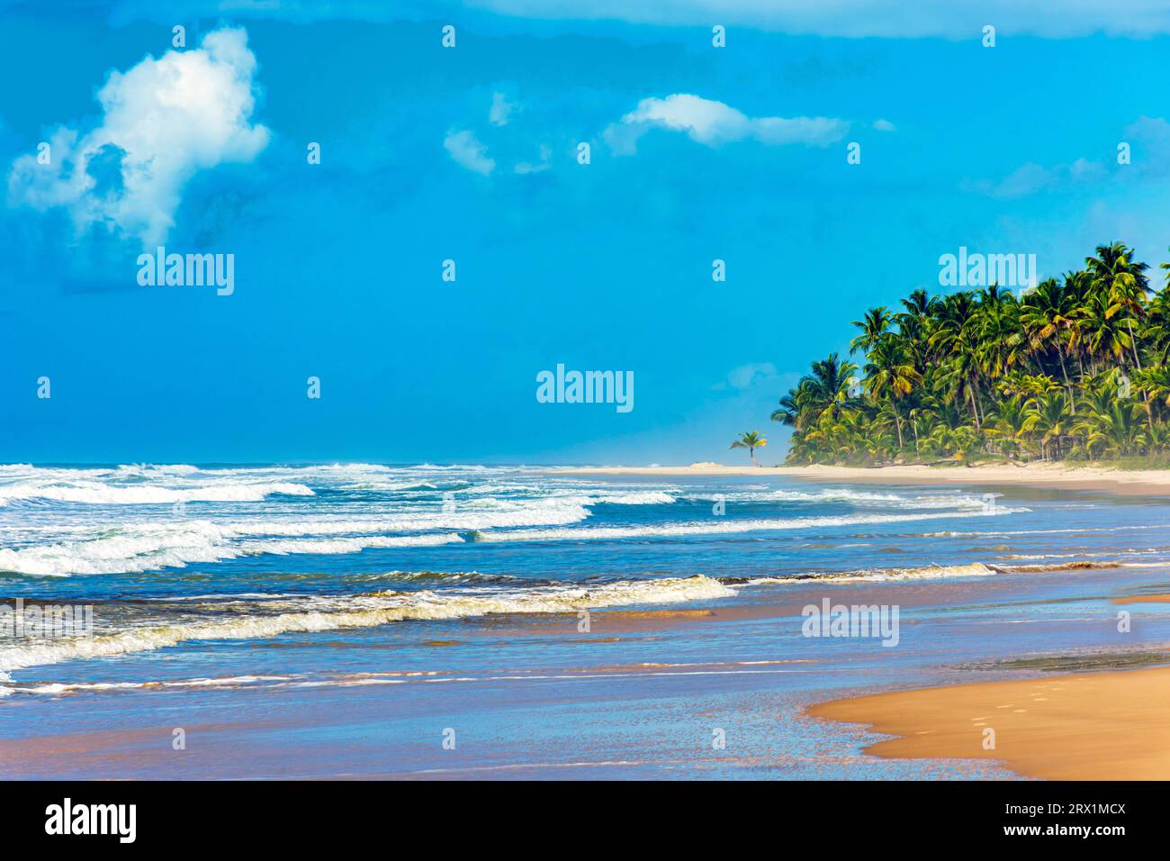 Wunderschöner, vollständig verlassener Sargi Strand, umgeben von Kokosnussbäumen an einem sonnigen Tag in Serra Grande an der Südküste von Bahia, Brasilien Stockfoto