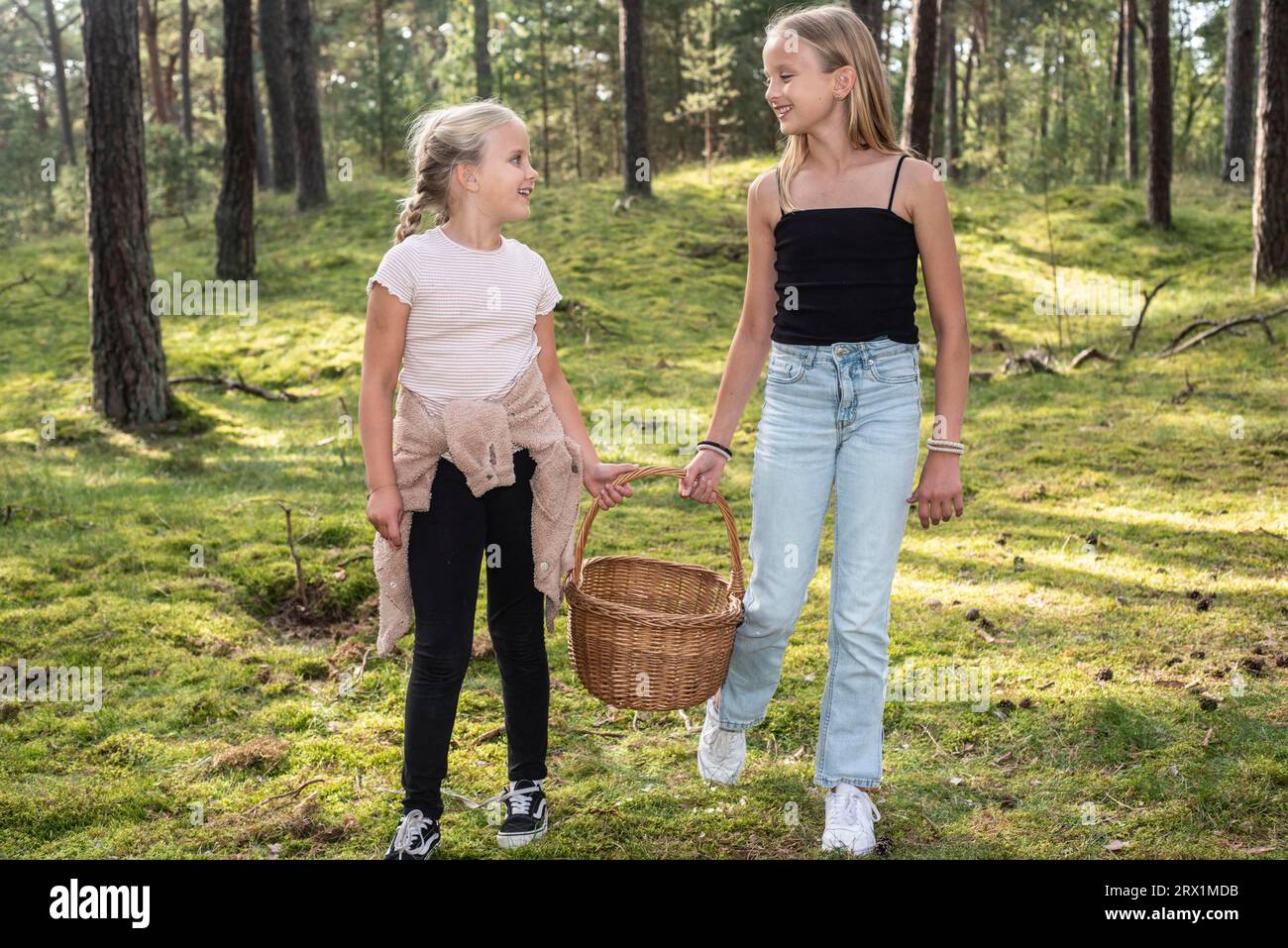 Zwei Mädchen, 7 und 10 Jahre alt, suchen nach Pilzen im Wald in Ystad, Scania, Schweden, Skandinavien Stockfoto
