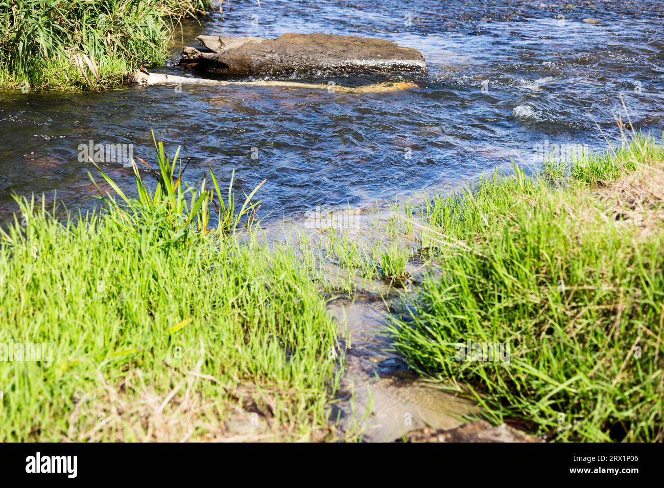 Wie beeinflusst Wasserkraft die Biodiversität im Flusslauf? - Featured Image