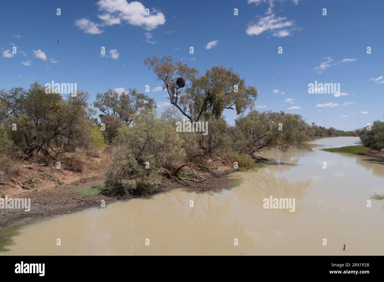 Die Longreach Region ist reich an einem großen Flusssystem, dem Thomson River, etwas außerhalb von longreach, Queensland, Australien Stockfoto