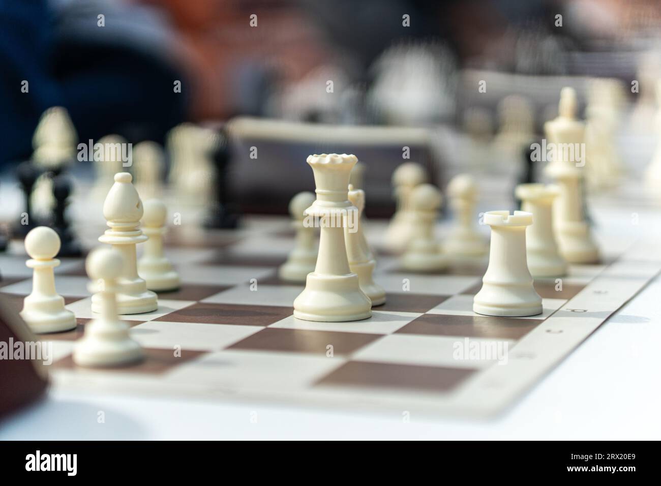 Das Schachspiel. Bewege dich im Schach, weißer Schachspieler. Großes Schach-Set aus Holz. Weiße Schachfiguren auf dem Brett Stockfoto