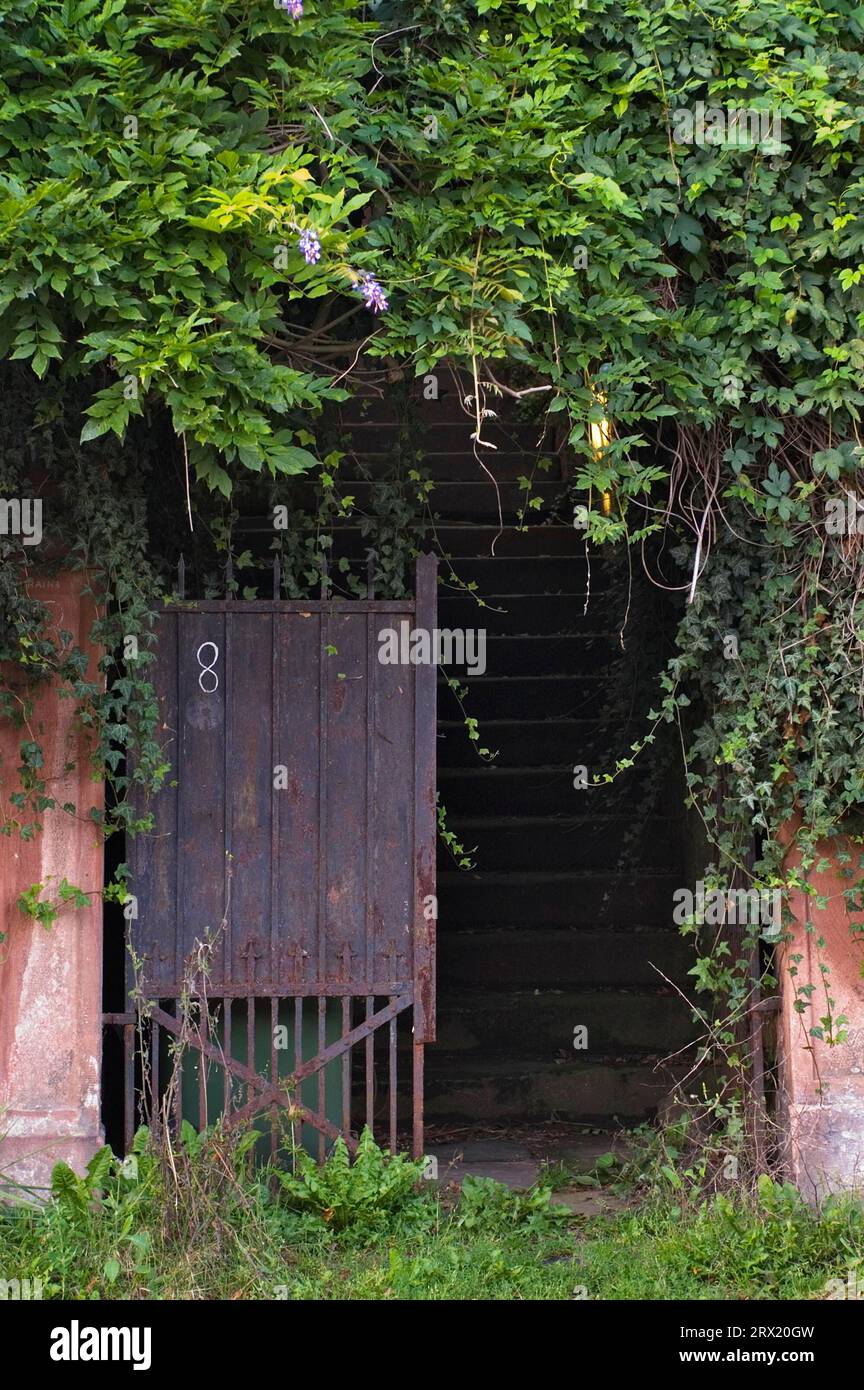 Der Eingang zu einem leerstehenden Haus Stockfoto