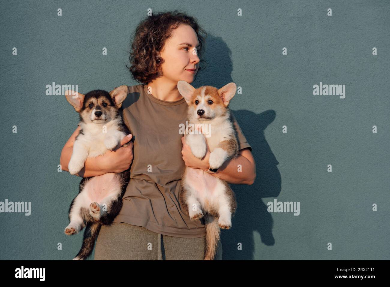 Charmante Dame mit kurzen und lockigen Haaren hält zwei entzückende Pembroke Welsh Corgi Welpen in den Armen. Babyhunde mit Fell in verschiedenen Farben sitzen auf gemütlich Stockfoto