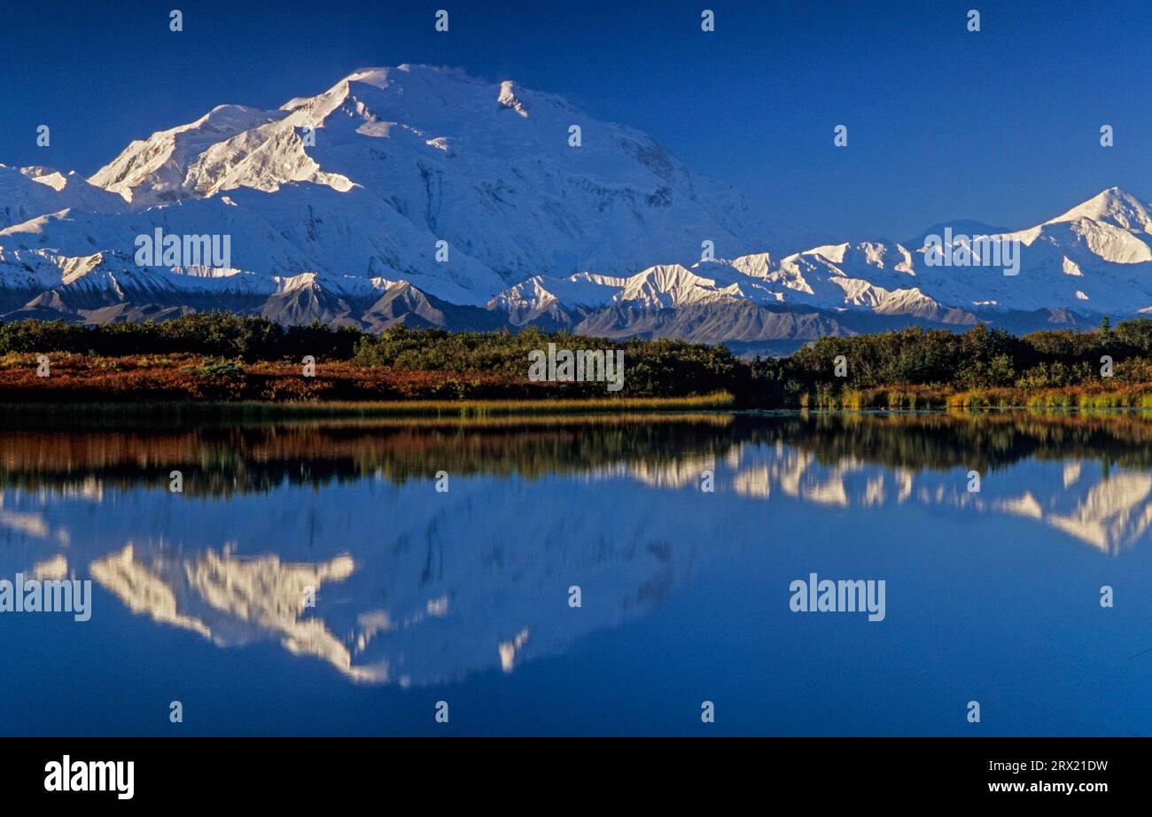 Denali und Mount Foraker spiegeln sich in Reflection Pond, Denali National Park, Alaska Stockfoto