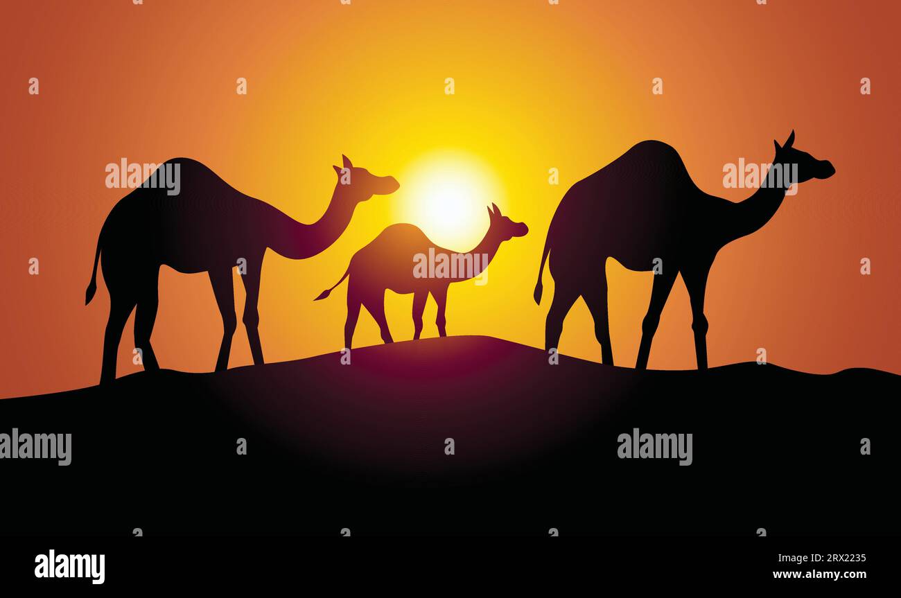 Silhouette mit Kameldesign. Handgezeichnete Vektorillustration im Minimalismus-Stil Stock Vektor