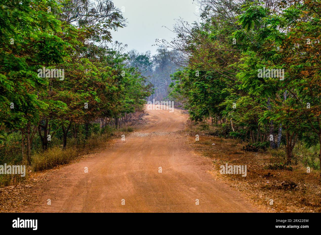 Eine unbefestigte Straße durch Koh Ker, die heute zum UNESCO-Weltkulturerbe gehört. Provinz Preah Vihear, Kambodscha. © Kraig Lieb Stockfoto