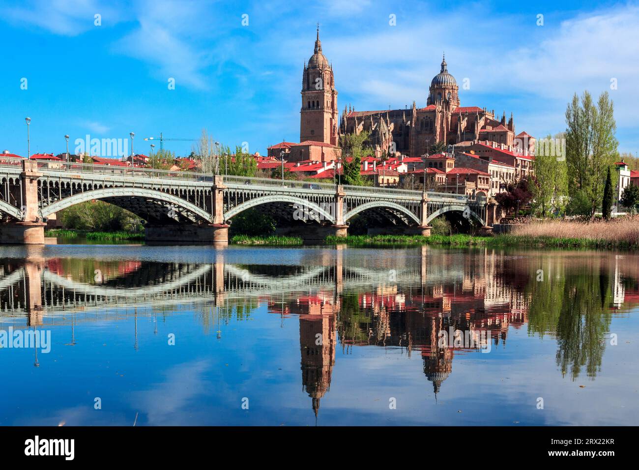 Blick über Rio Tormes auf die beiden Kathedralen von Salamanca Stockfoto