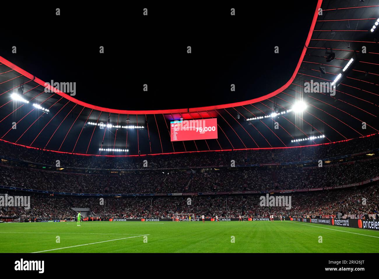 Übersicht, Tribüne, beleuchtet, Beleuchtung, Anzeigetafel, Crowd, 75, 000, ausverkauft, Fluter, Champions League, Allianz Arena, München, Bayern Stockfoto
