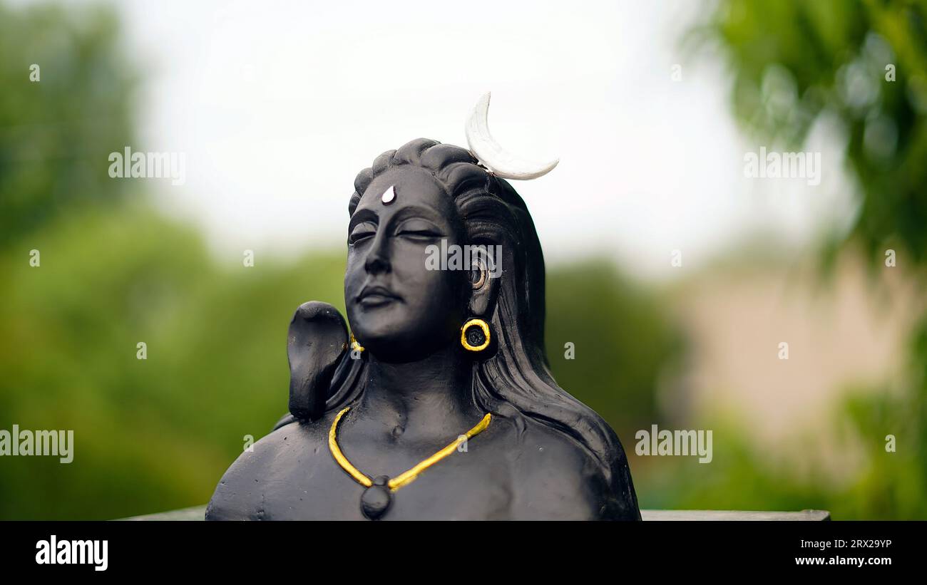 Lord Ganesha, Adiyogi und maa Durga Idol oder Statue isoliert auf grünen Blättern Hintergrund. Indisches Festivalkonzept. Stockfoto